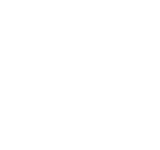 Vest Intelligence Agency 18